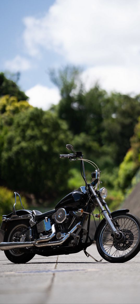 harley davidson, bike, motorcycle, side view