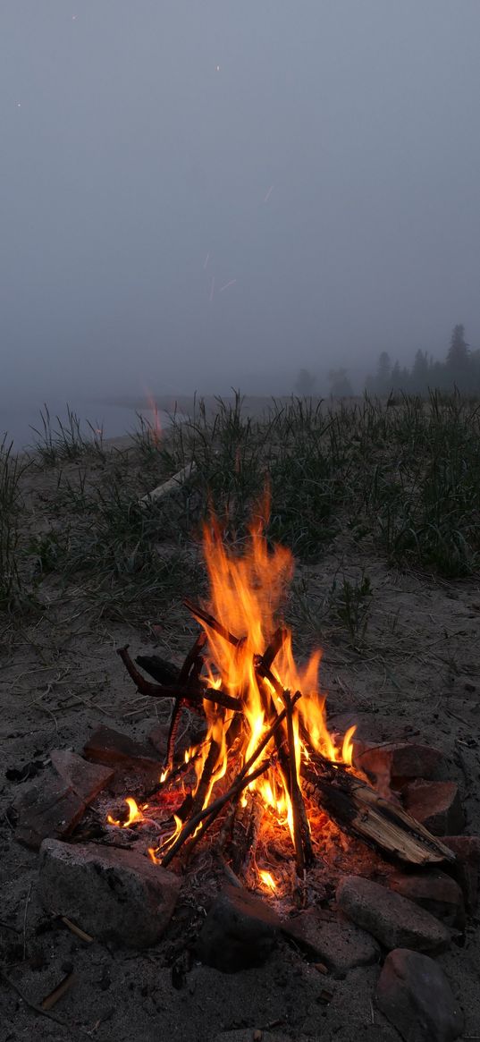 bonfire, firewood, fire, coast, fog