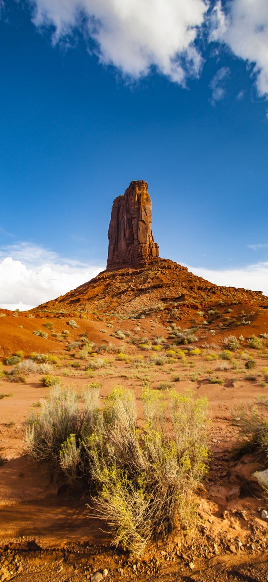 rock, prairie, bushes, sand, sky