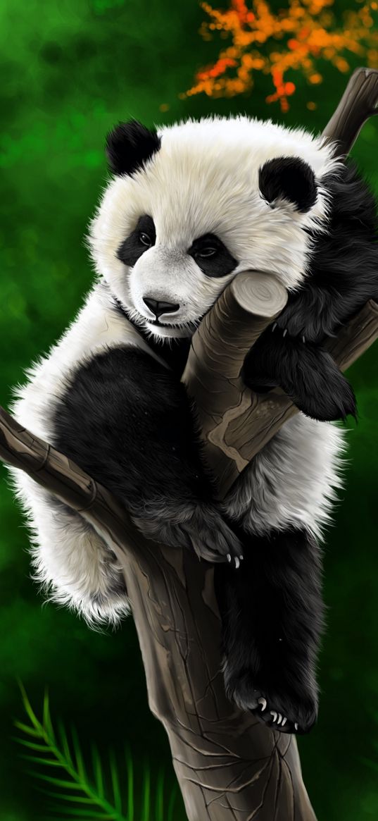 panda, animal, branch, art