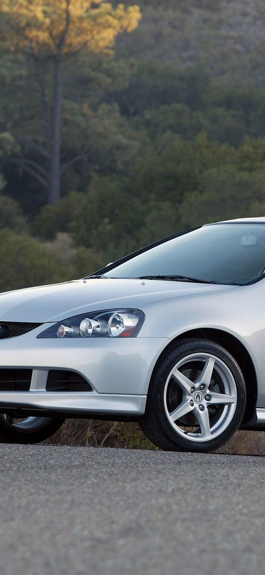 acura, rsx, silver metallic, side view, style, cars, forest, nature, asphalt