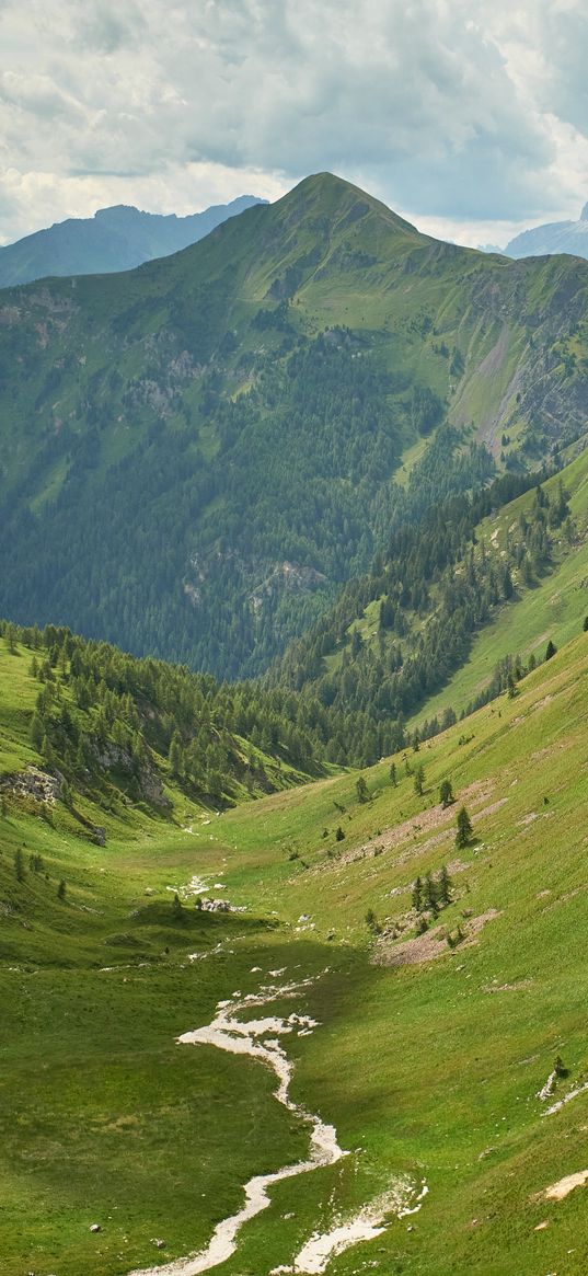 mountain, peak, grass, river, trees