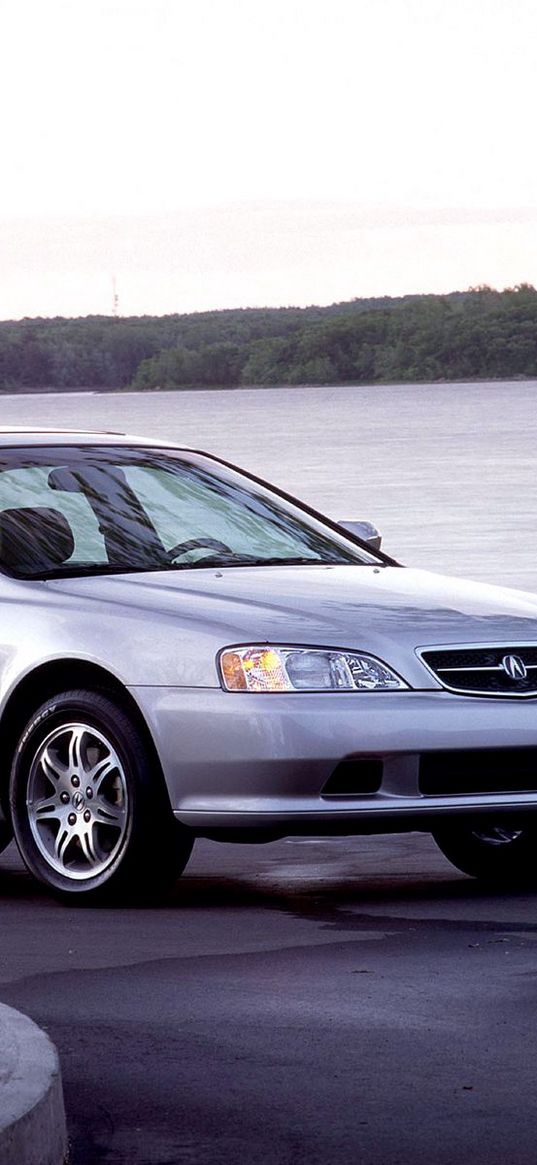 acura, tl, 1999, silver metallic, side view, style, auto, nature, column, flower bed, asphalt, grass, trees, water