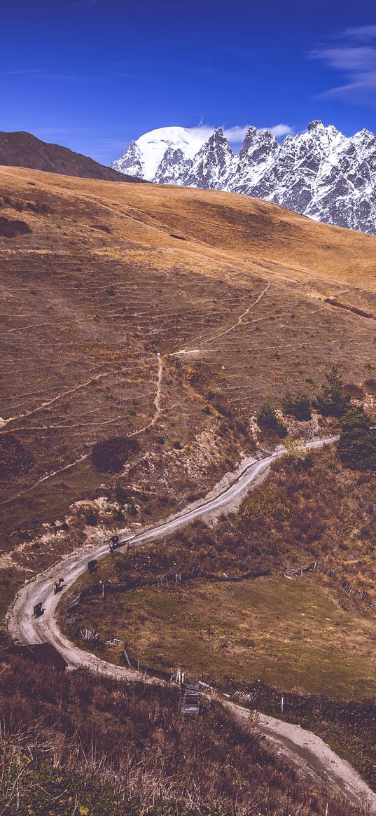 road, winding, mountains, snowy, slope