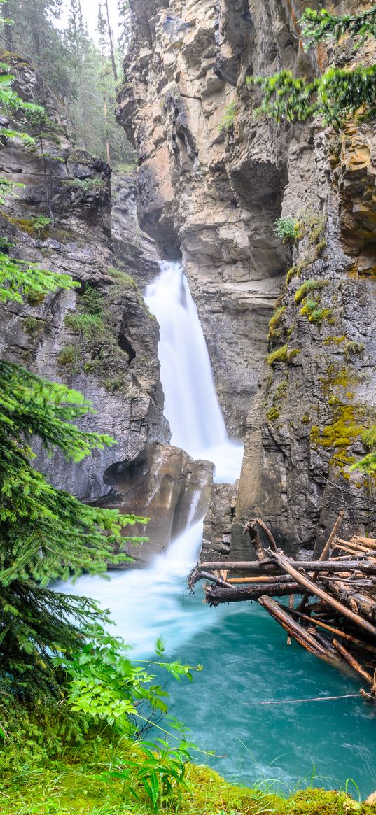 waterfall, stream, rocks, logs, branches