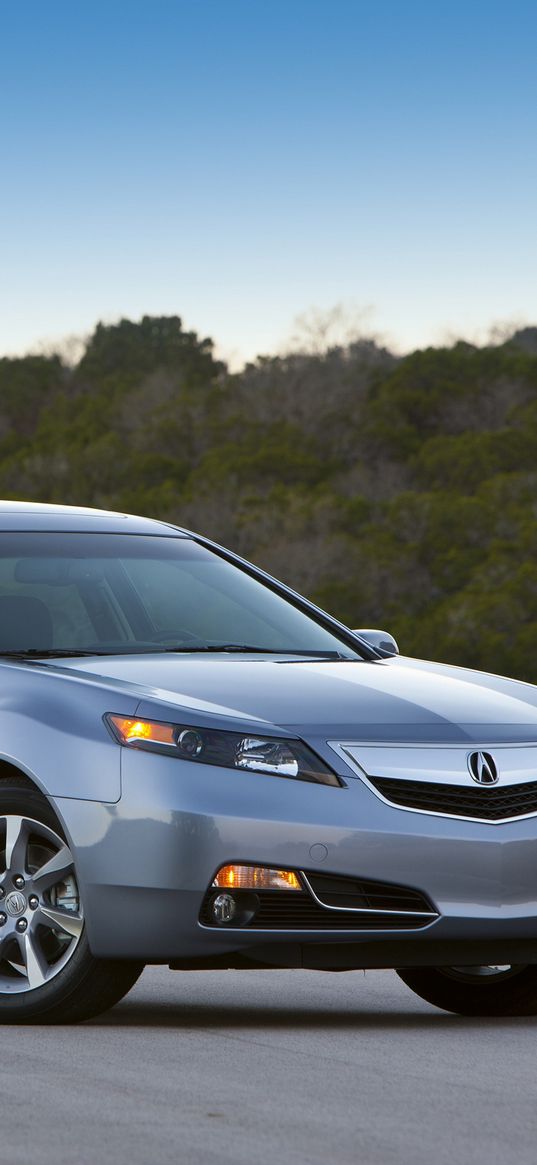 acura, tl, 2011, blue, side view, style, cars, nature, trees, sky, asphalt