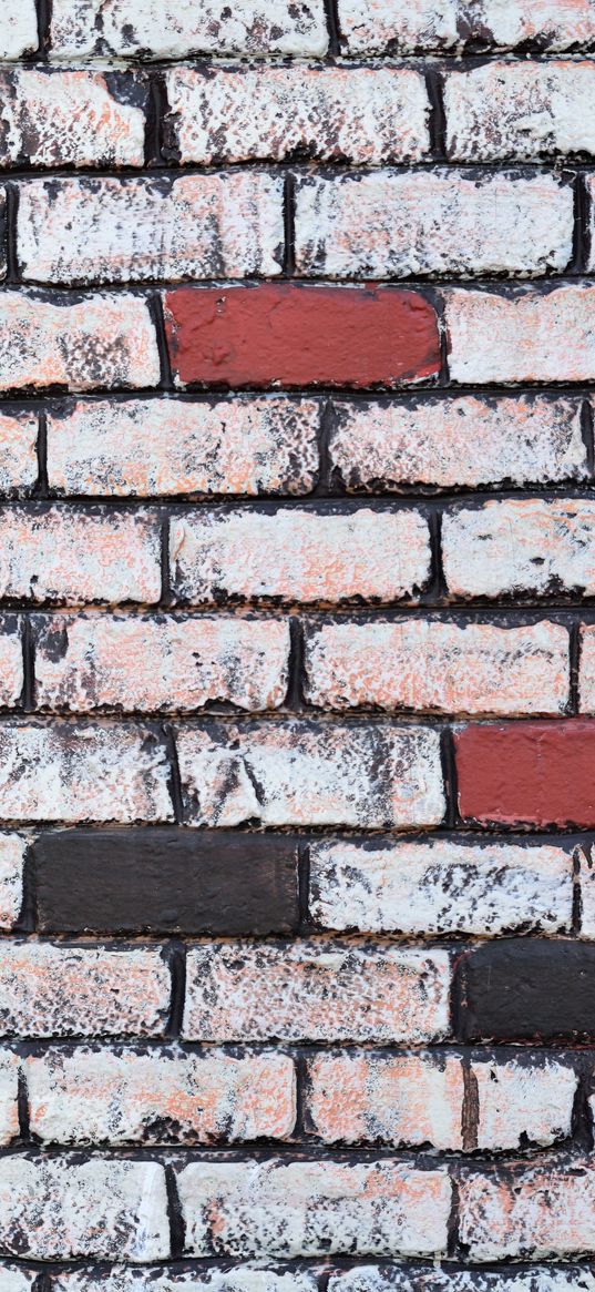 bricks, wall, brick wall, paints, texture