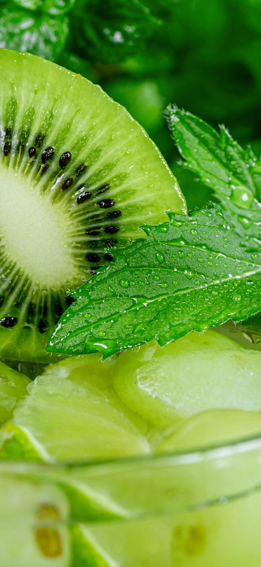 kiwi, mint, fruit, drink, glass, drops