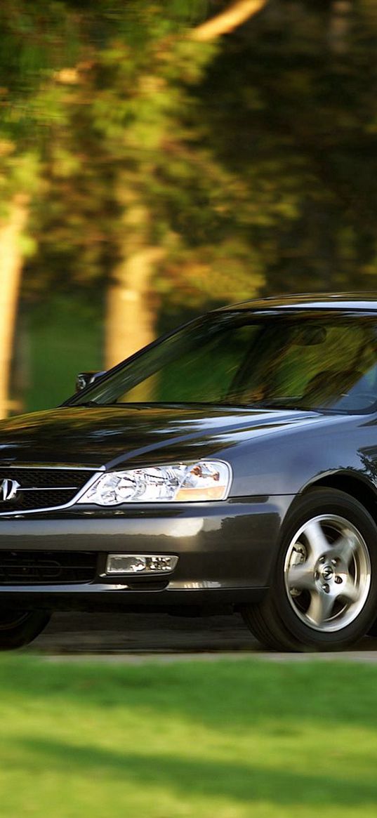 acura, tl, 2002, black, side view, style, cars, nature, trees, grass