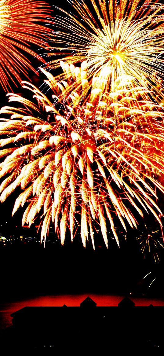 salute, sparks, fireworks, night, building