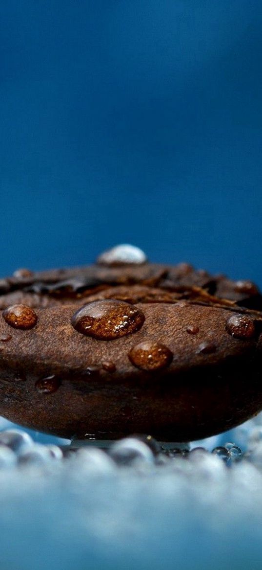 coffee beans, water, liquid, droplets, wet