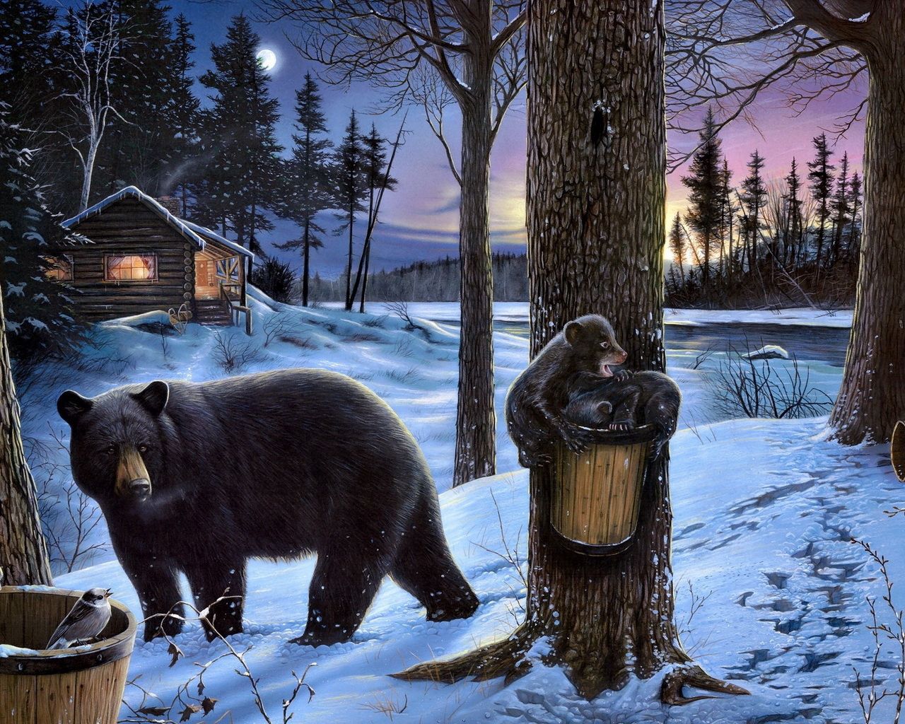 bear, forest, bears, house, family, walking, eating