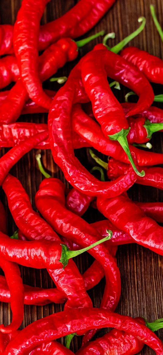 chili pepper, pepper, red, hot