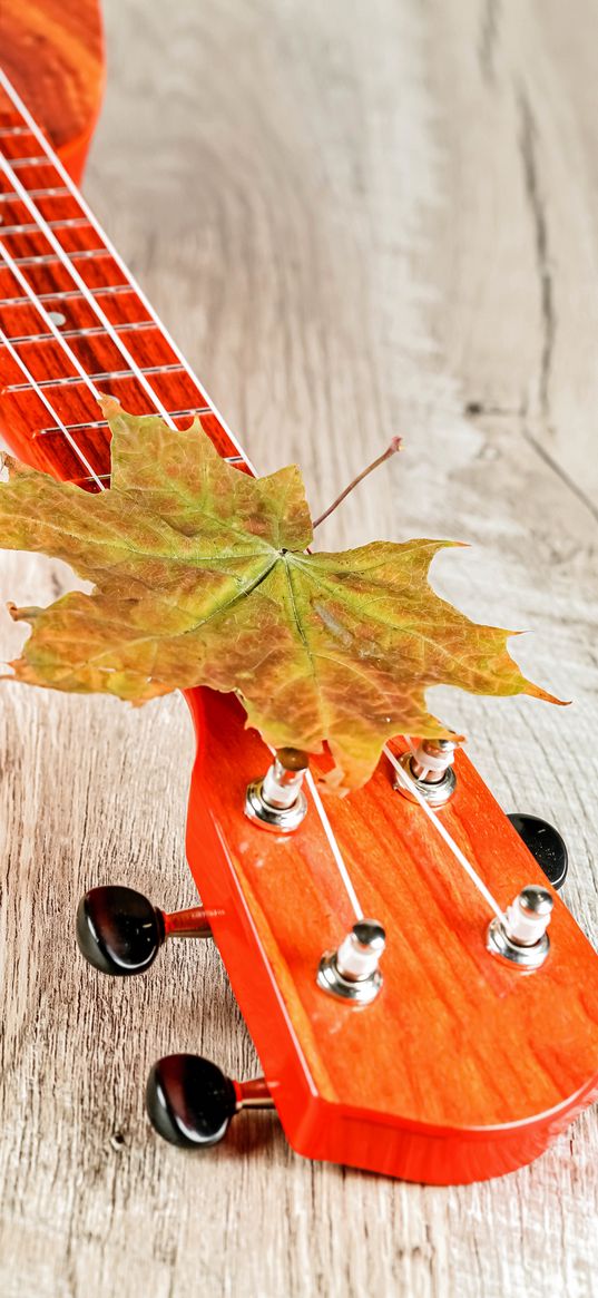 guitar, musical instrument, fretboard, strings, autumn, maple