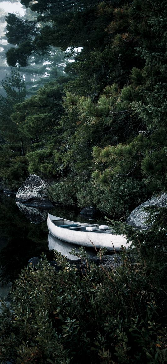 boat, lake, spruce, branches, trees