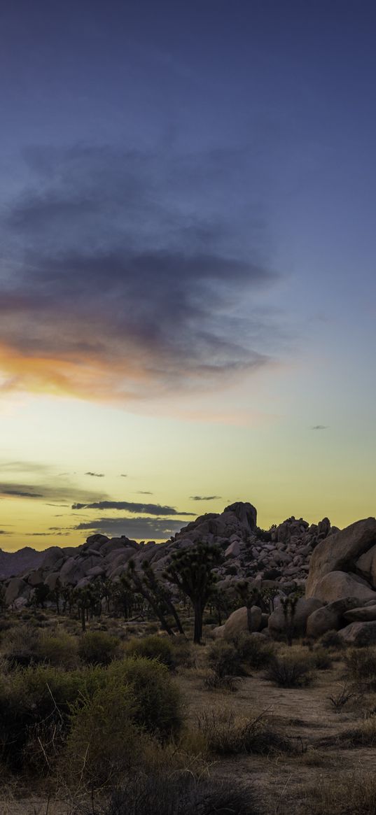 prairie, rocks, trees, bushes, sunset