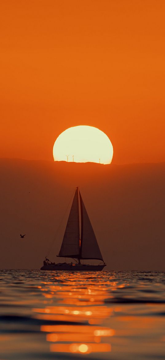 sailboat, sun, glare, sea, sunset