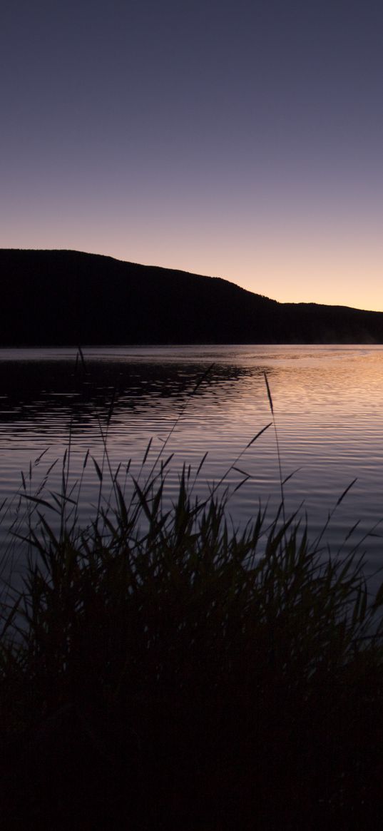 grasses, dusk, lake, hill