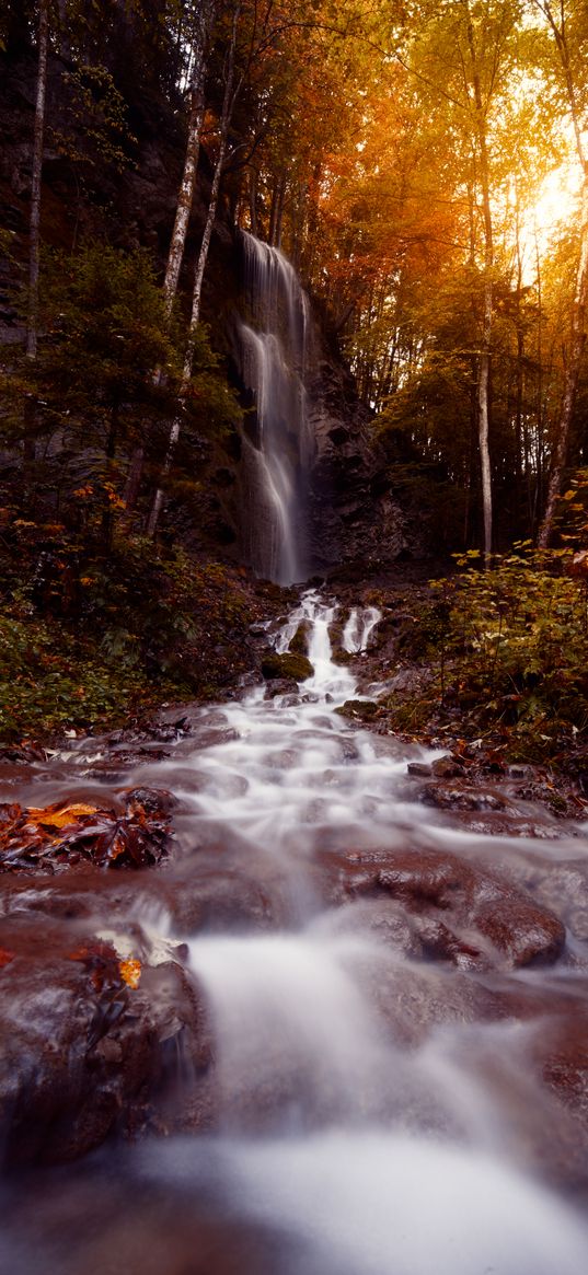 waterfall, stream, water, stones, trees