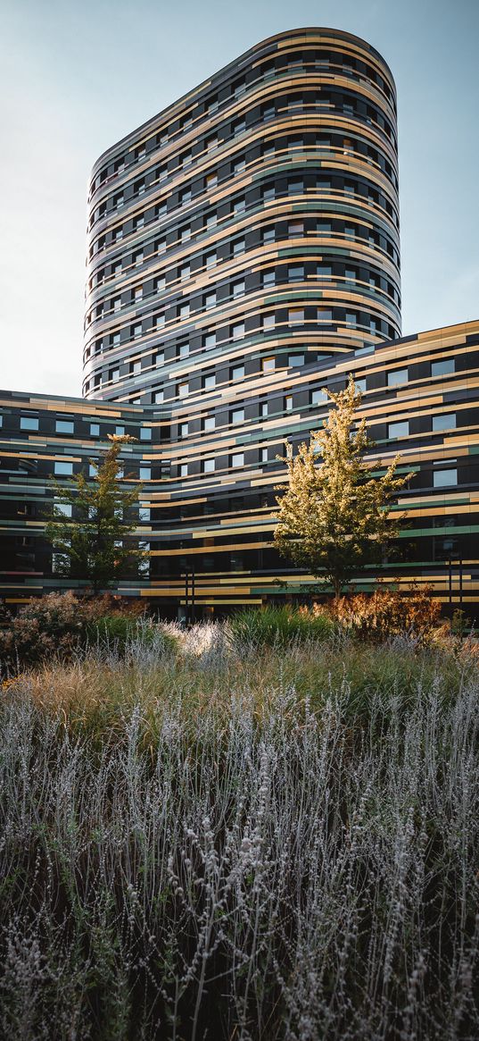 skyscraper, building, architecture, grasses