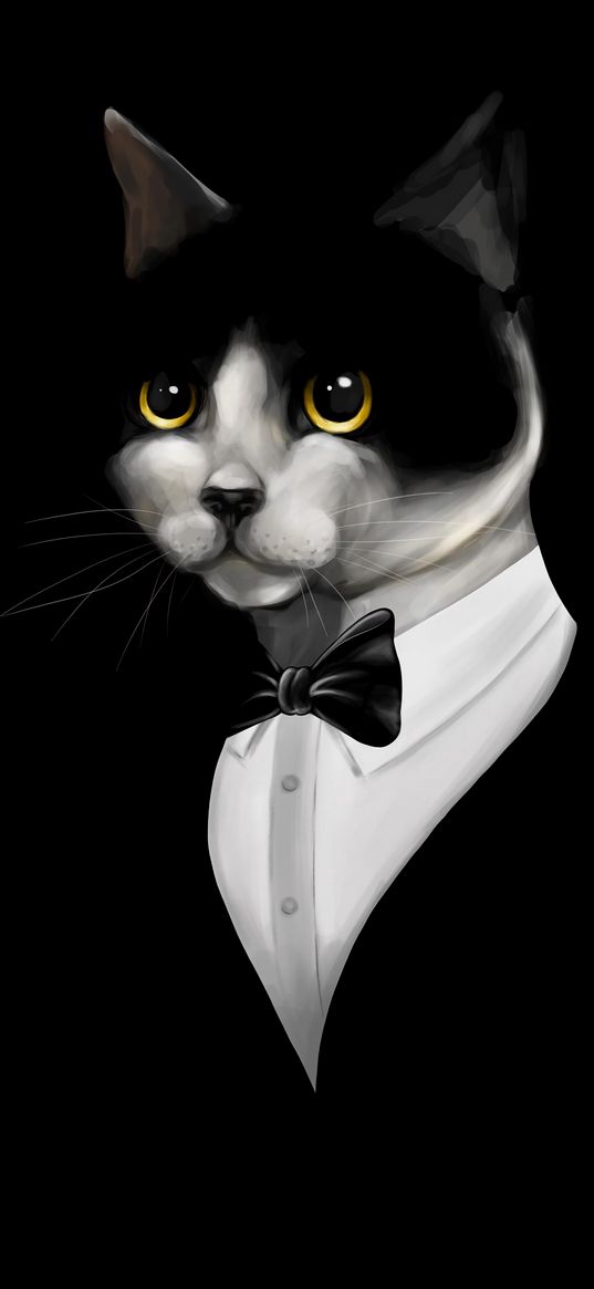 cat, tuxedo, pet, black, art