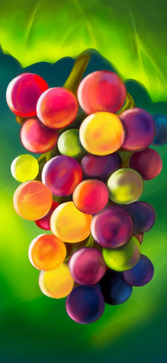 grapes, vine, fruits, berries, art