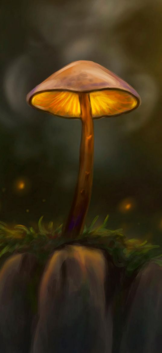 mushroom, particles, grass, art