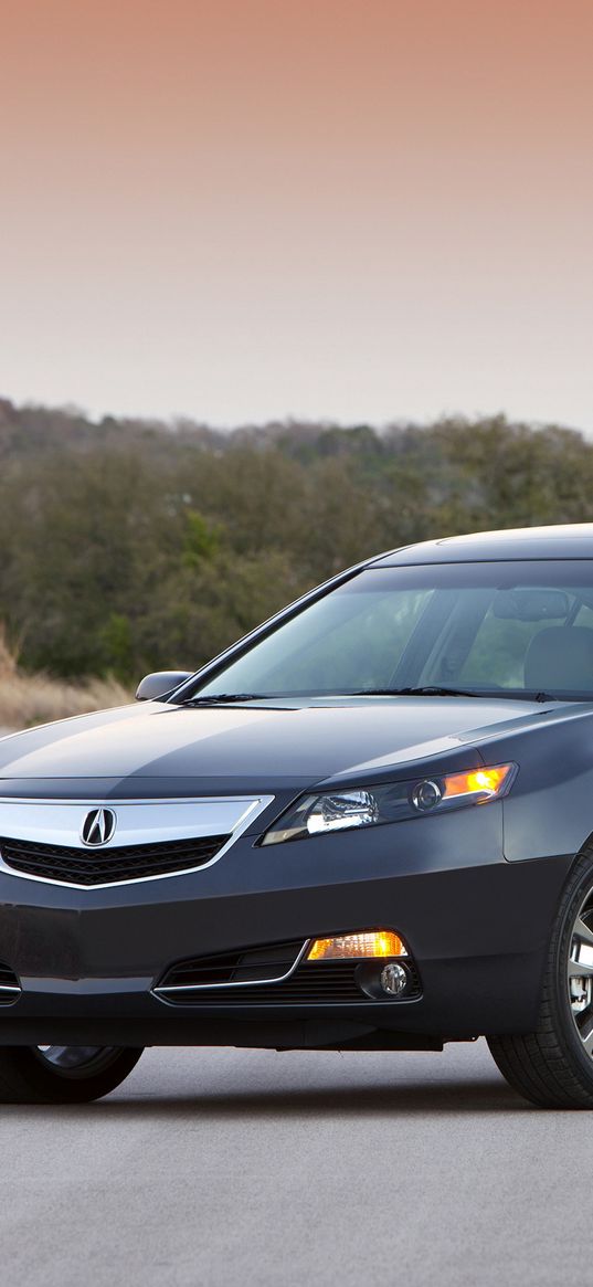 acura, tl, 2011, black, side view, cars, style, sunset, trees, asphalt