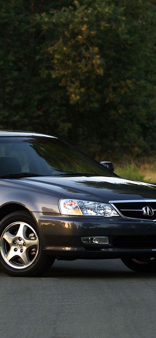 acura, tl, 2002, black, side view, style, cars, grass, trees, asphalt