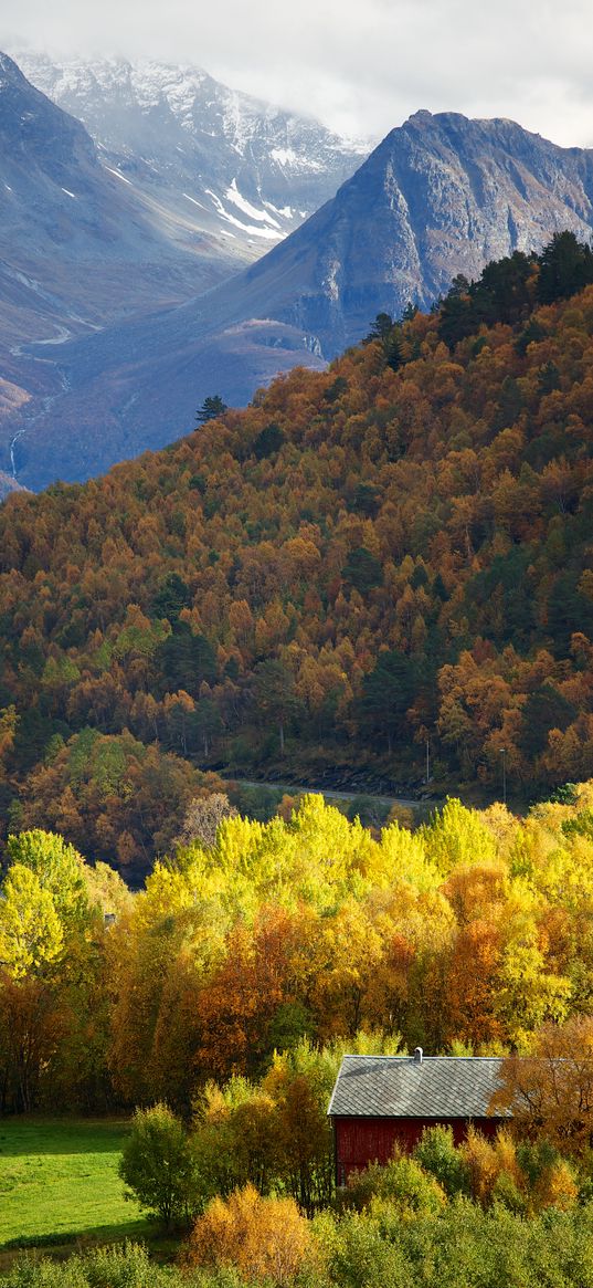 mountains, forest, trees, hut