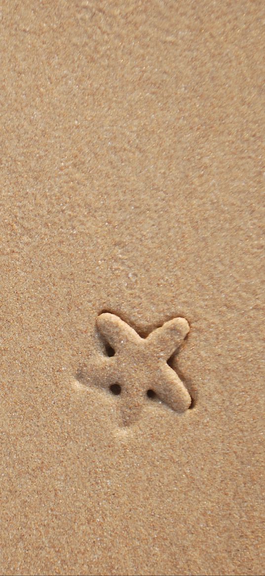 starfish, sand, beach, texture