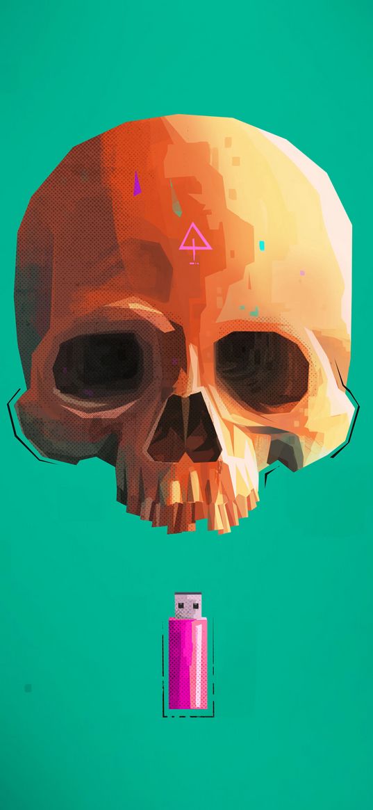 skull, skeleton, flash drive, art