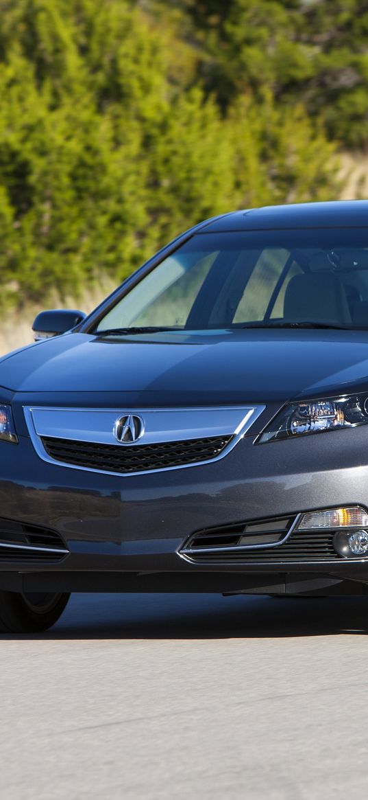 acura, tl, 2011, blue, front view, style, cars, nature, trees, asphalt