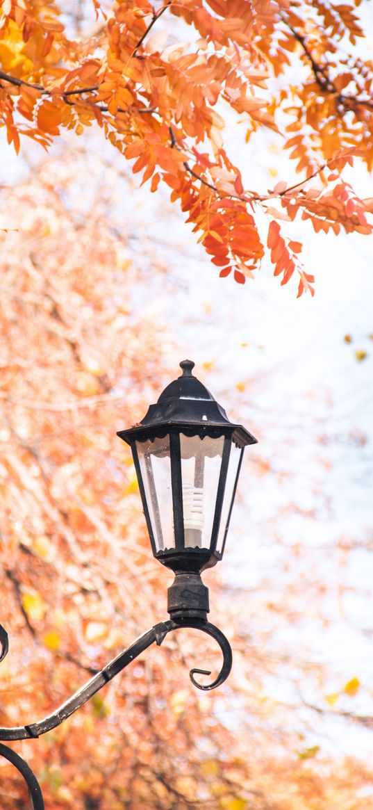 lantern, focus, autumn, metal