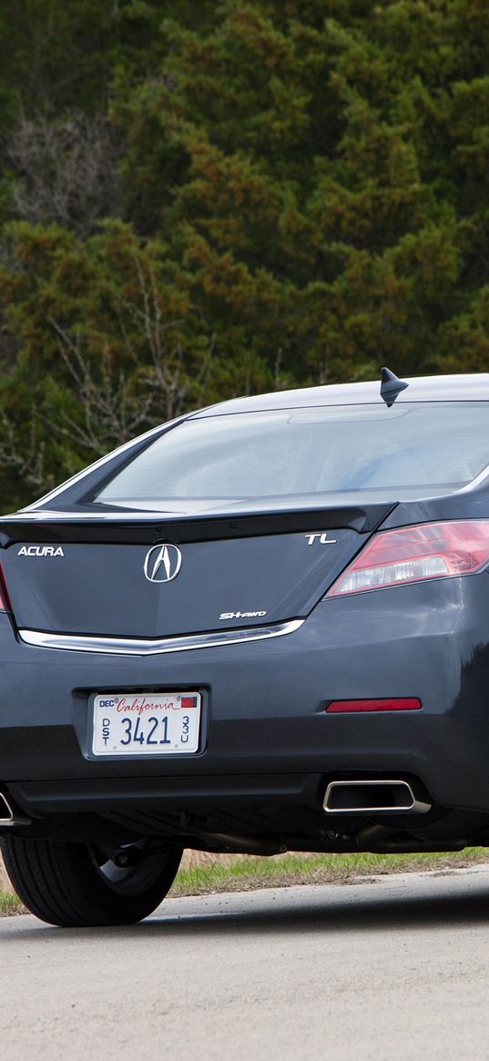 acura, tl, 2011, blue, rear view, style, cars, nature, trees