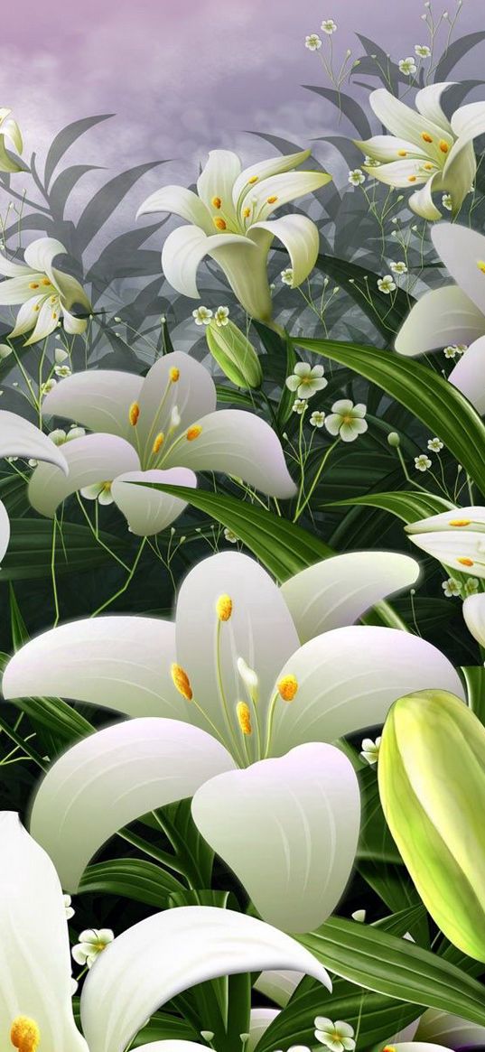 lilies, flowers, meadow, bud, stamens, sky