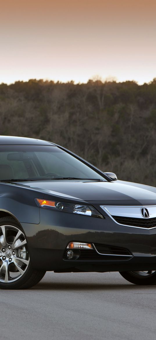 acura, tl, 2011, blue, side view, style, cars, sunset, trees, asphalt