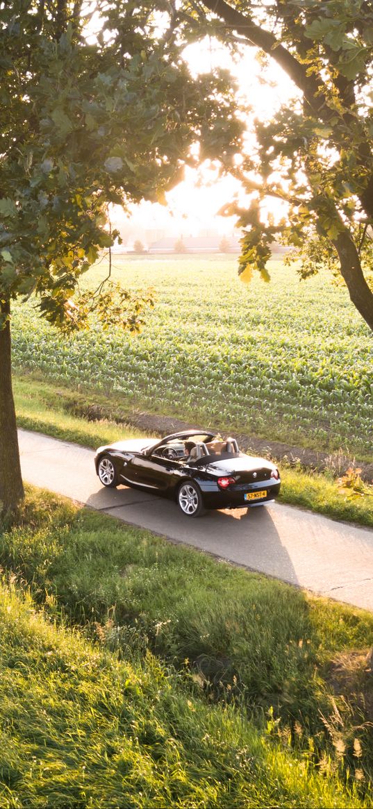 car, convertible, road, sunlight, nature