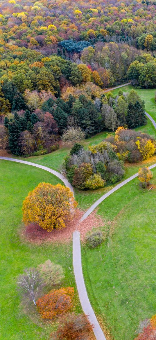 field, trees, paths, aerial view, view