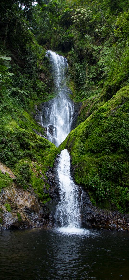 waterfall, stream, rock, water, moss, bushes