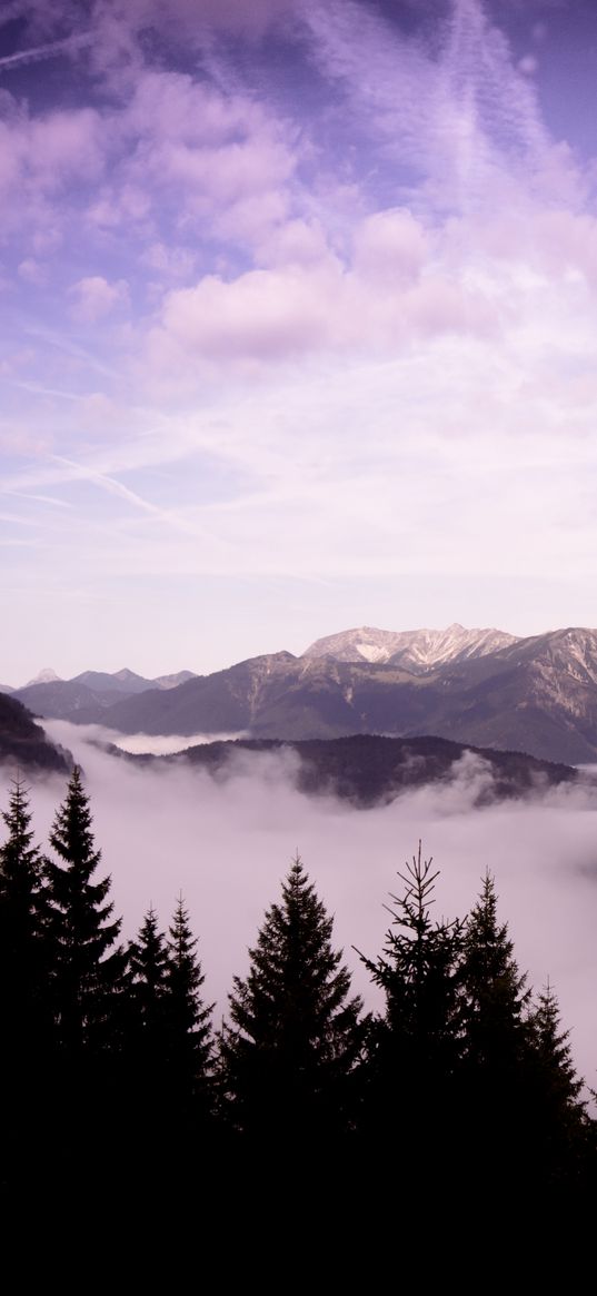 mountains, clouds, trees, landscape, high