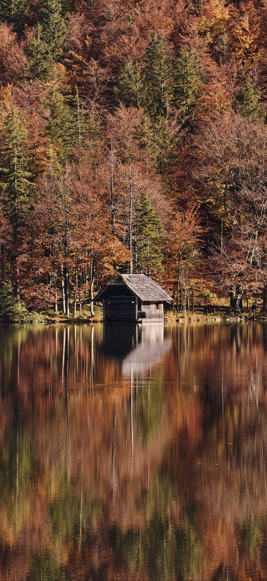 lake, forest, hut, autumn, nature