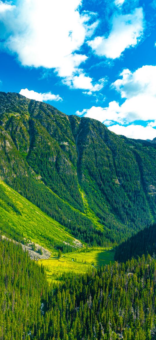 mountains, forest, valley, greenery, landscape