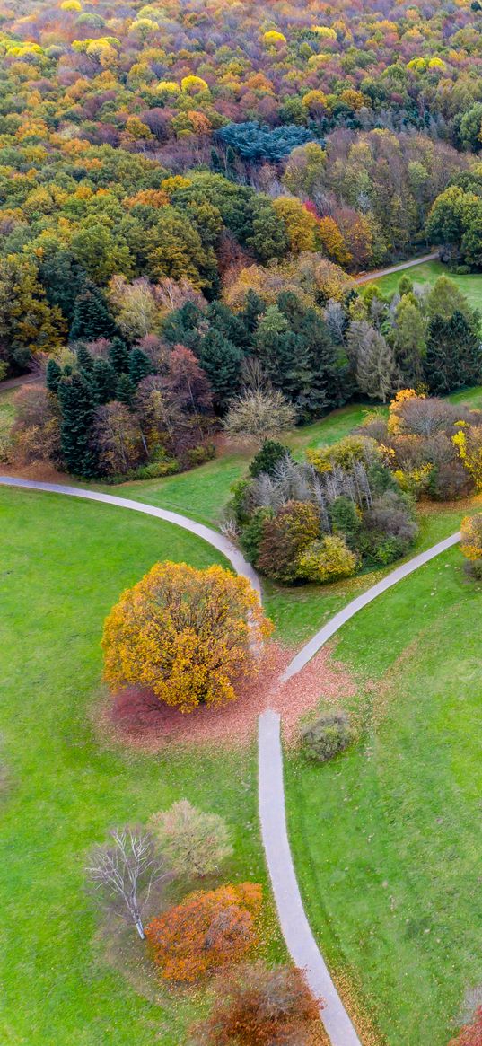 paths, field, aerial view, trees