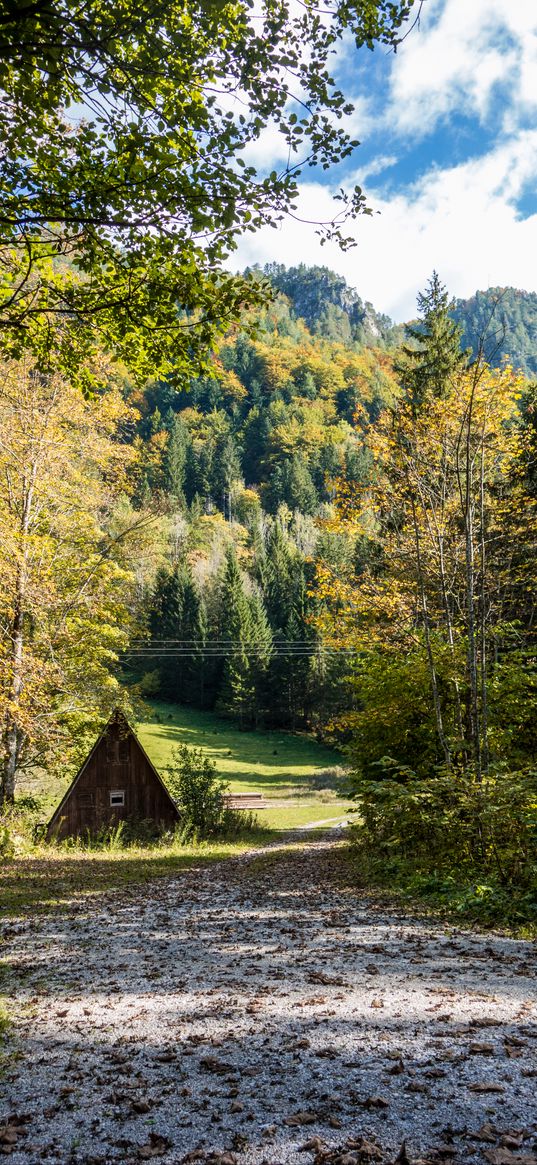 hut, road, trees, mountain, nature