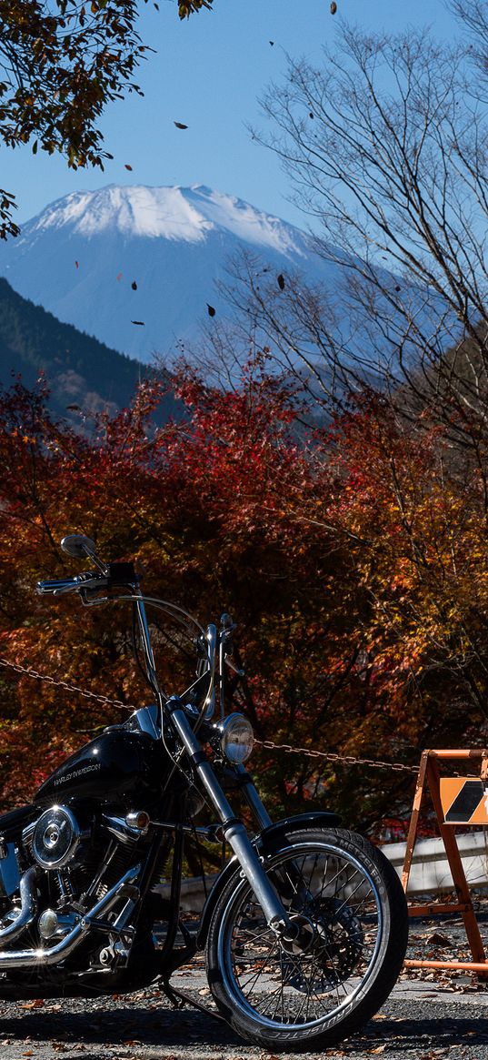 motorcycle, bike, chopper, black, nature, autumn