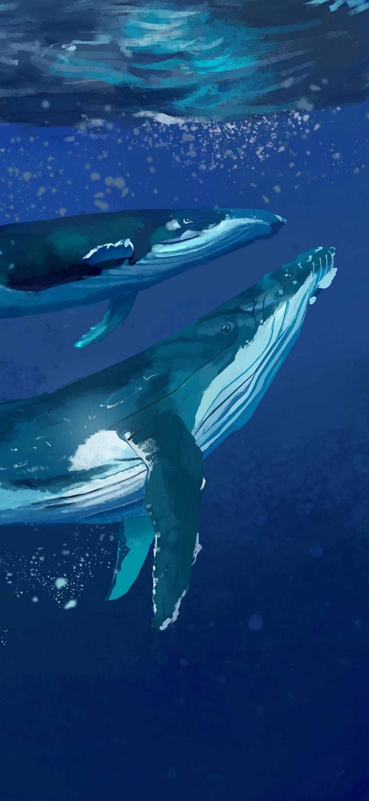 whales, water, underwater, sea, art