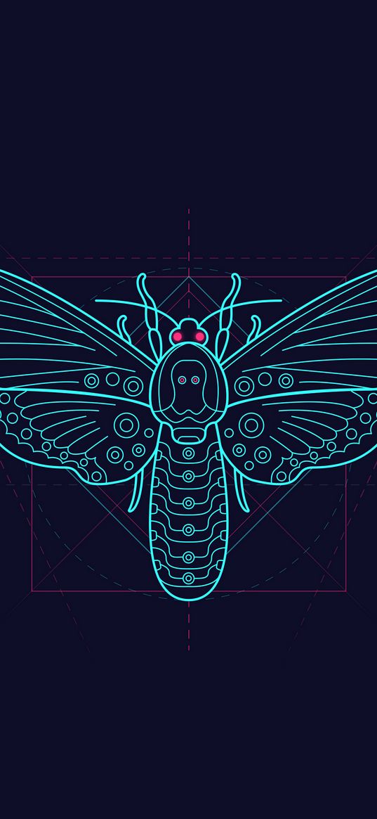 moth, pattern, art, geometry, symmetry