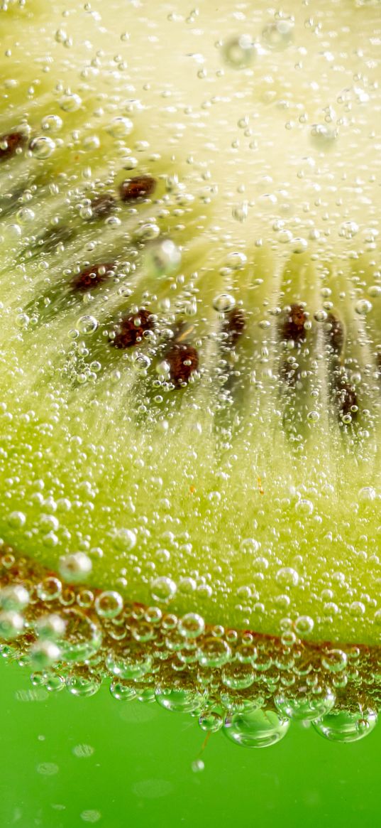 kiwi, slice, bubbles, macro