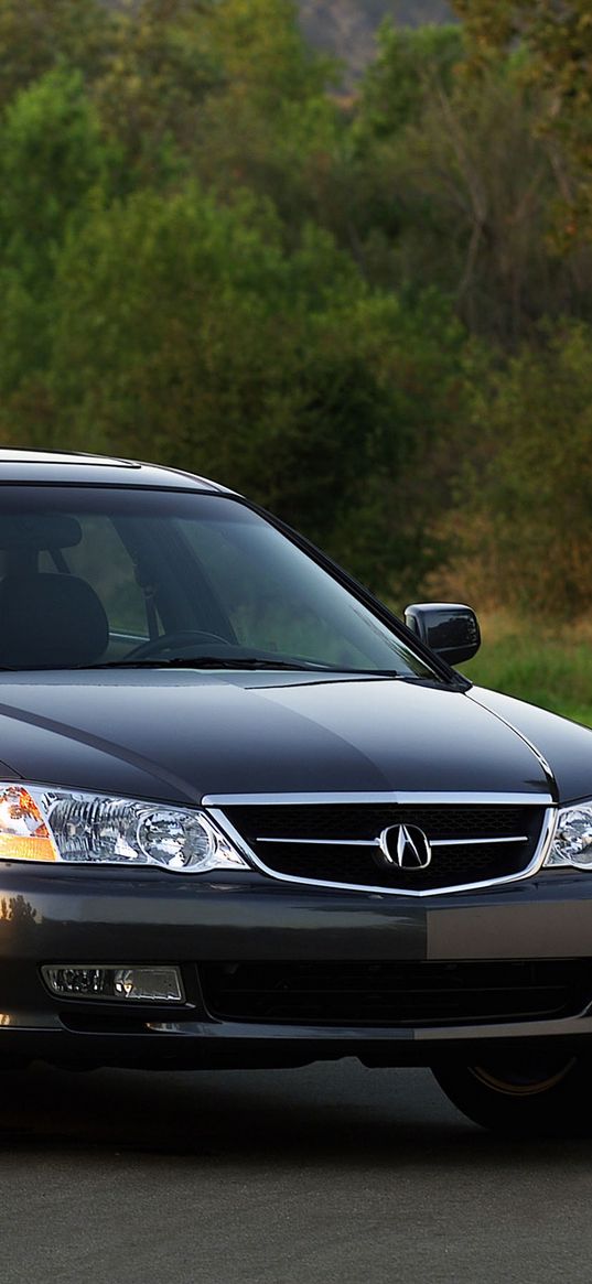 acura, tl, 2002, black, front view, style, cars, nature, grass, shrubs, trees, asphalt